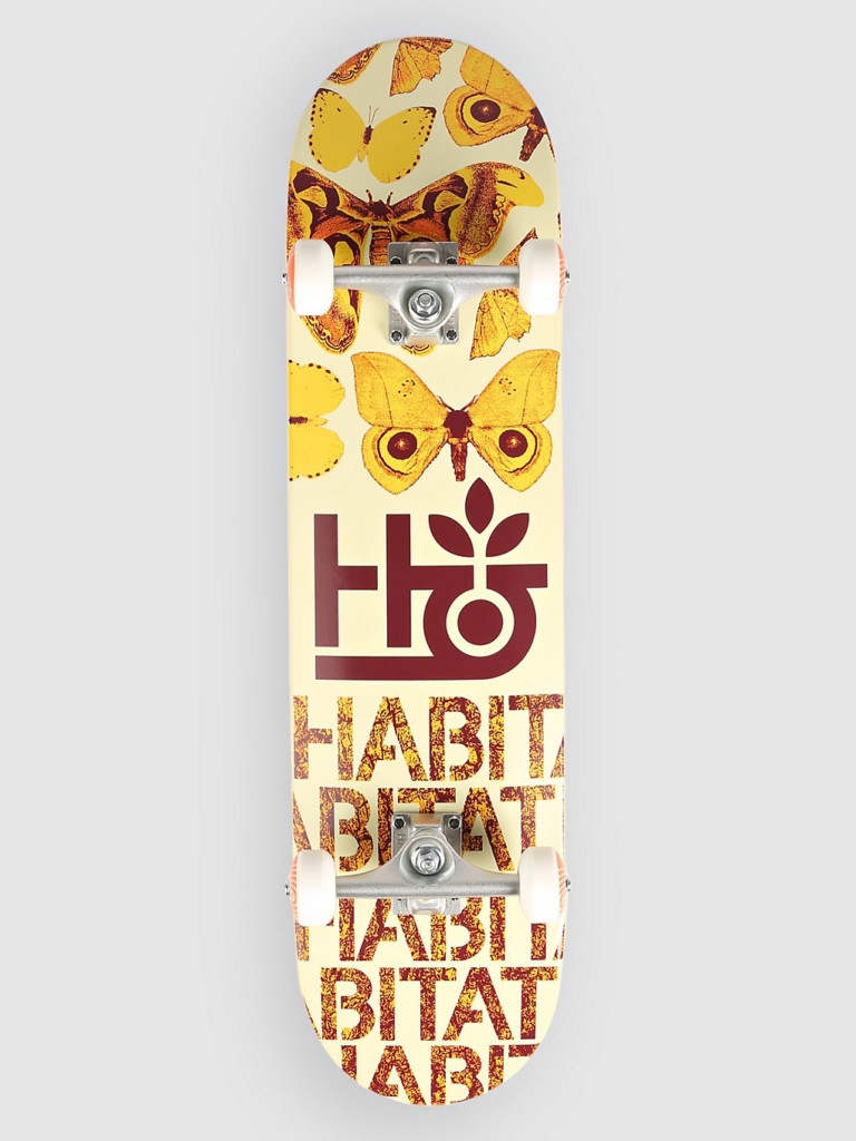 Habitat Insecta 8″ Complete oranje