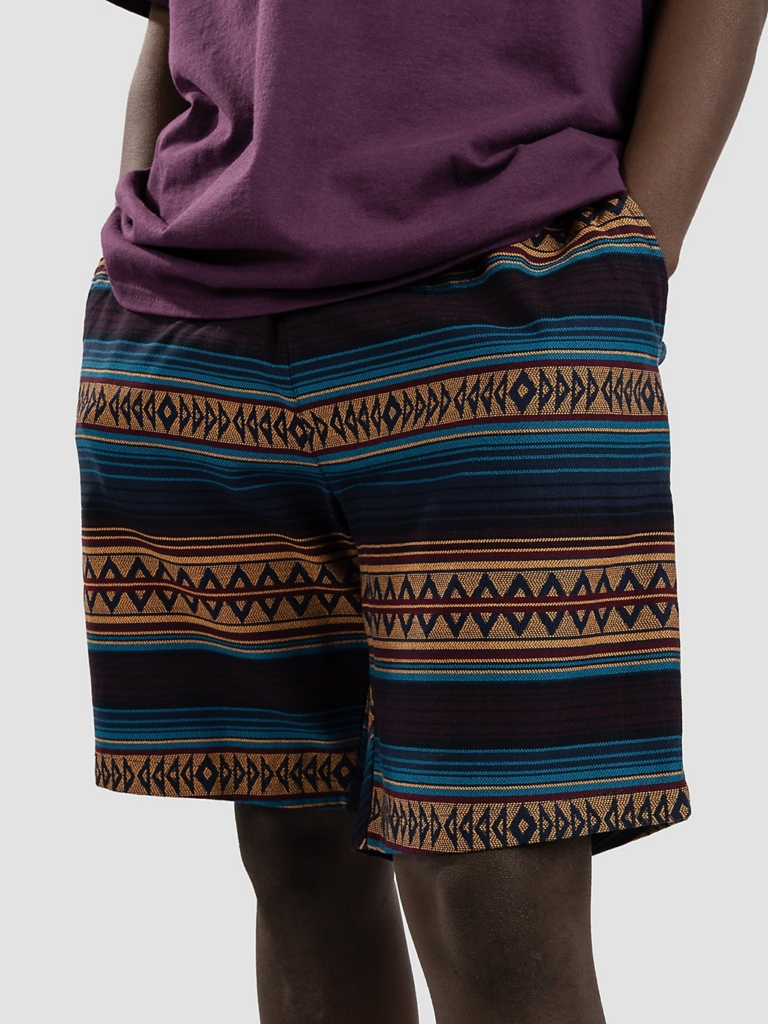 Iriedaily Vintachi Korte Broek patroon