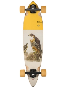 Globe Pintail 34″ Complete patroon