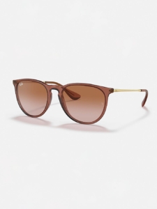 Ray-Ban Erika 0RB4171 Brown Zonnebril Transparent Light Bruin