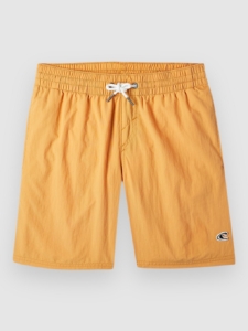 O’Neill Vert 14 Kids Boardshorts Nugget