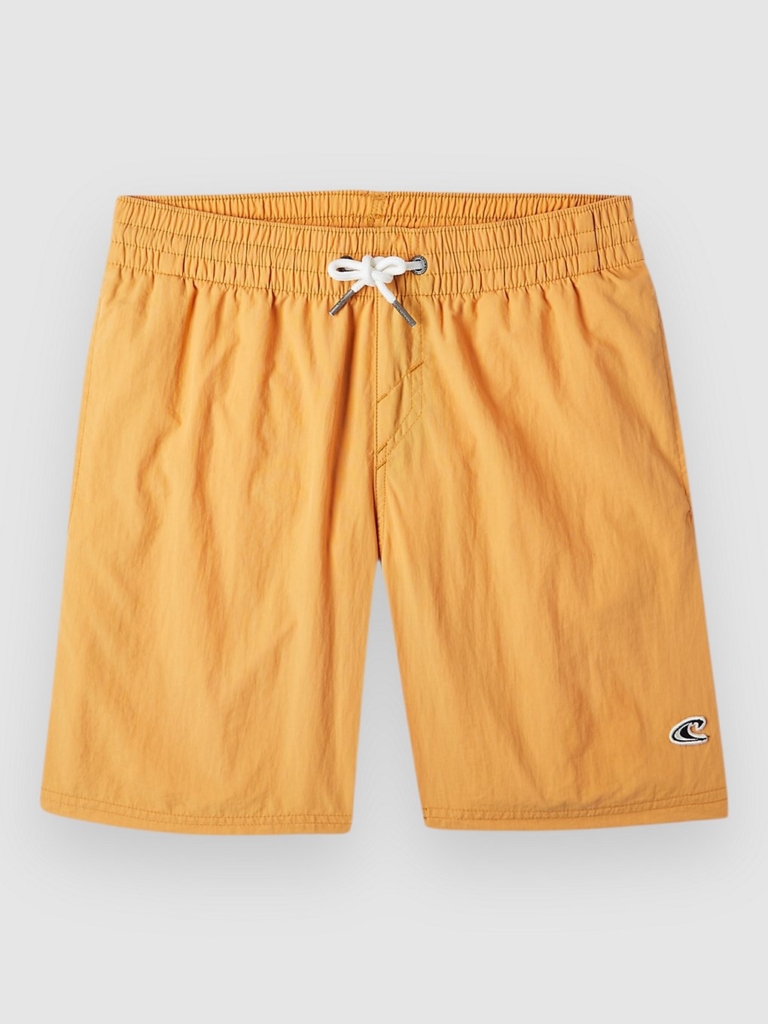 O’Neill Vert 14 Kids Boardshorts Nugget