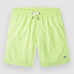 Sunny Lime