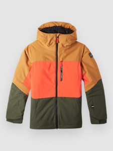 O’Neill Carbonite Kids Jas Rich Caramel Colour Block