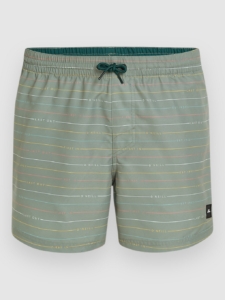 O’Neill Jack Cali 15” Boardshorts Groen First Name Stripe