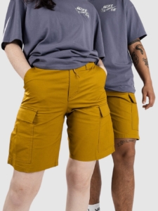 Nike Sb Kearny Korte Broek Bronzine