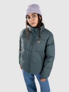 Dickies Alatna Jas Lincoln Groen