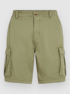 O’Neill Essentials Cargo Korte Broek Avery Fern
