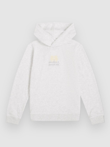 O’Neill Back Print Kids Hoodie Wit Melange