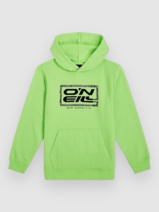O’Neill Logo Kids Hoodie Paradise Valley