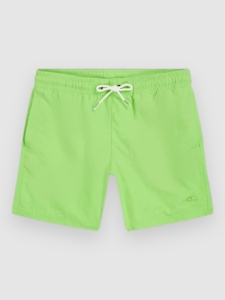 O’Neill Vert 14″ Kids Boardshorts Paradise Valley