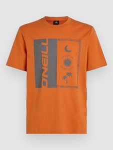O’Neill Front Print T-Shirt Cinnamon Stick