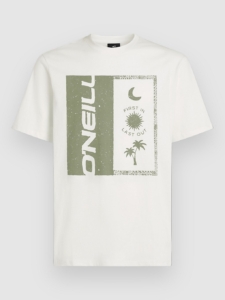 O’Neill Front Print T-Shirt Snow Wit