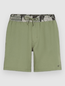 O’Neill Pocket Print 16″ Boardshorts Avery Fern