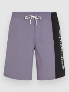 O’Neill Retro 19″ Boardshorts patroon Storm Colour Block