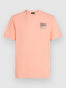 O’Neill Retro Graphic T-Shirt Coral Pop
