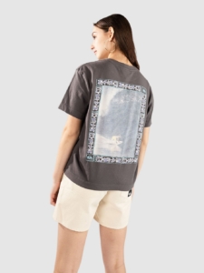 Quiksilver Standard T-Shirt Grijs