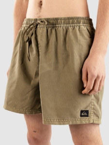 Quiksilver Everyday Surfwash Volley 15 Boardshorts Aloe