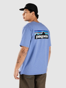 Patagonia P-6 Logo Responsibili T-Shirt Abundant Blauw