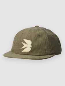 Patagonia Corduroy Cap Groen