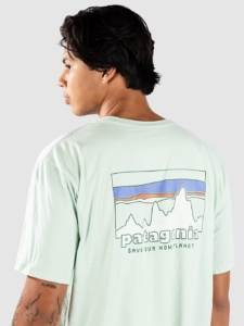Patagonia 73 Skyline Organic T-Shirt Rinsed Groen