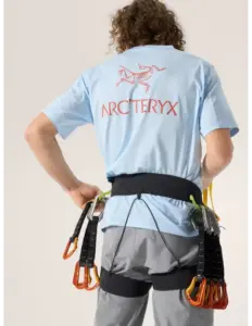 Arc’teryx Kragg Cotton Bird Word Shirt Korte Mouw Heren (Maat – XL, Kleur – / )