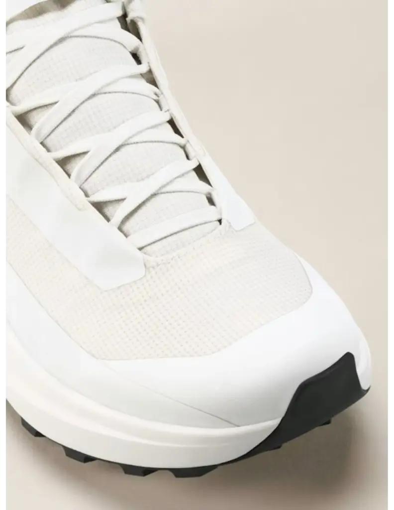 Arc’teryx Norvan LD 4 GTX Trailrunning Heren (Maat – 10, Kleur – / )