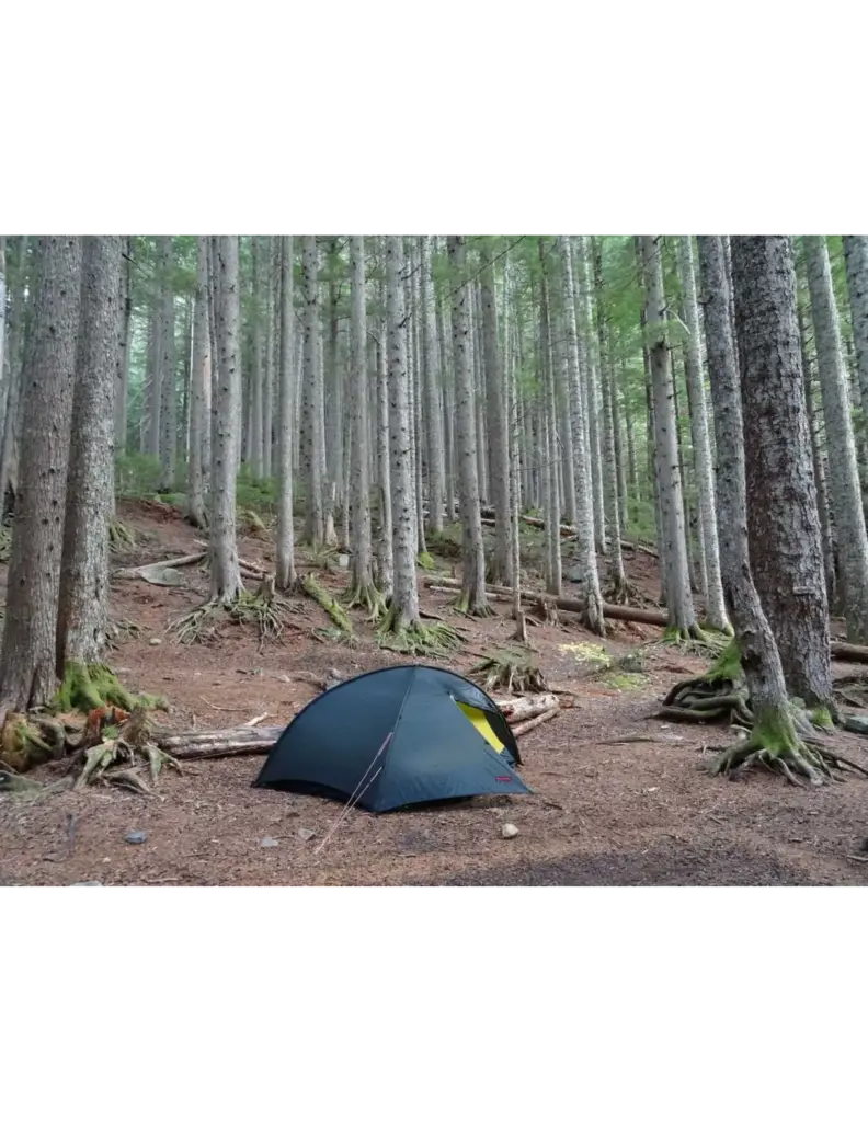 Hilleberg Rogen Groen