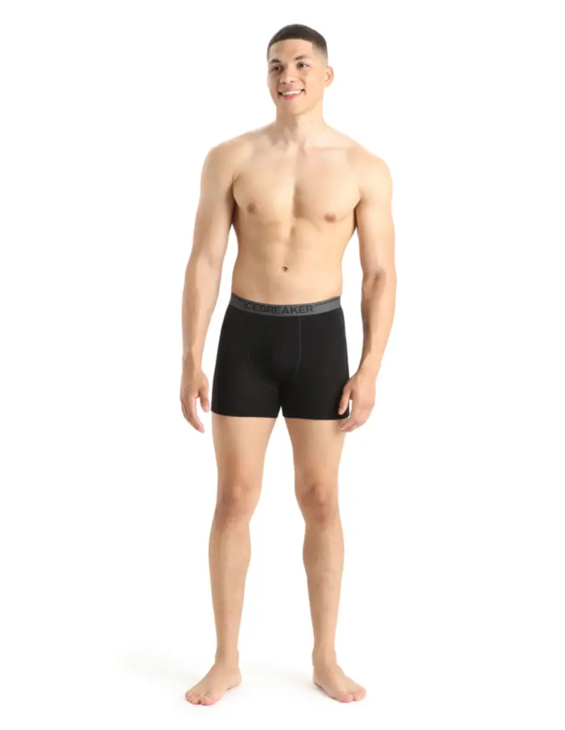 Icebreaker Anatomica Boxershort Heren (Maat – S, Kleur – )