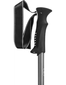 Leki Voyager Wandelstok Zilver