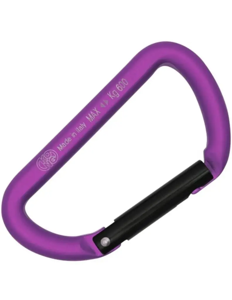 Mini D Straight Zwart