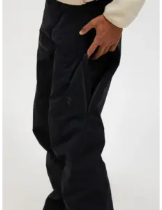 Peak Performance Alpine GoreTex C-Knit™ 3L Pant Heren (Maat – M, Kleur – )