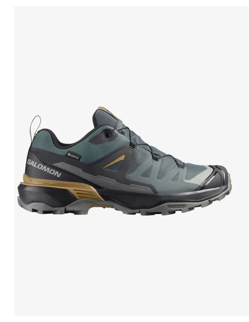 Salomon X Ultra 360 GTX Wandelschoen Heren (Maat – 8, Kleur – )