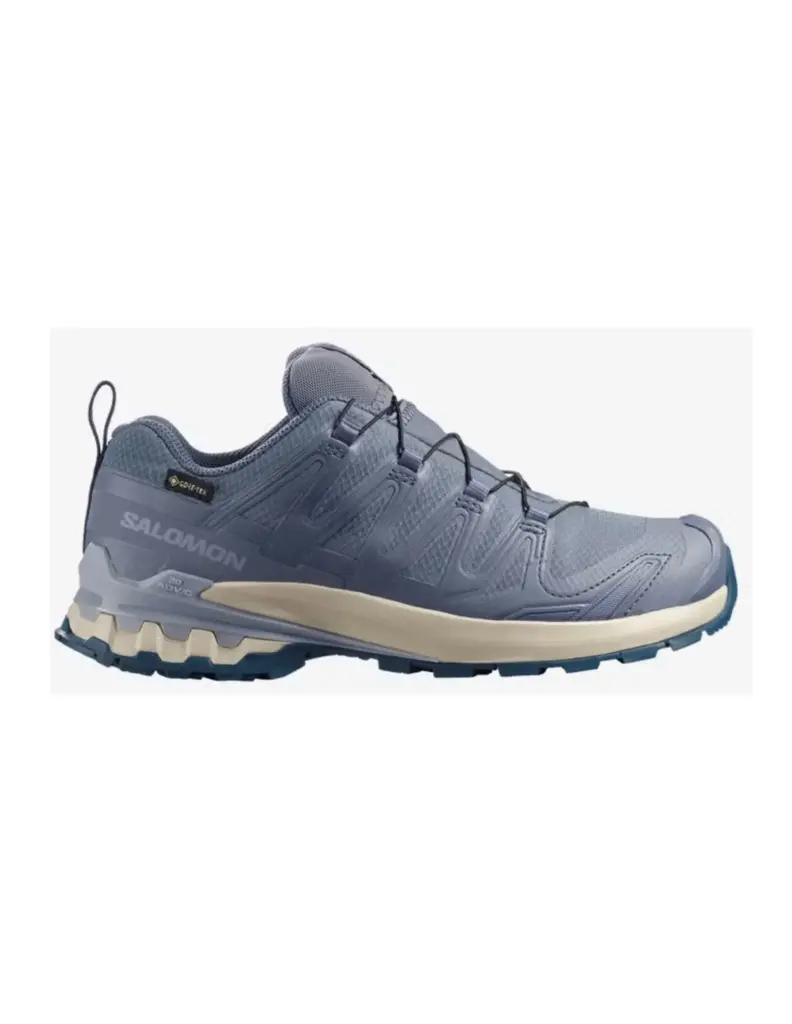 Salomon XA Pro 3D V9 GTX Trailrunning Dames (Maat – 8, Kleur – )