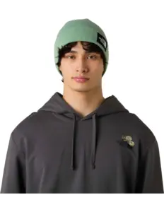The North Face Dock Worker Recycled Beanie Slate Moss