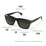 Polarized