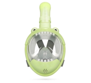 Sea Turtle Full Face Mask Junior Groen
