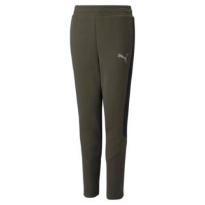 Puma Evostripe Pants Junior Groen
