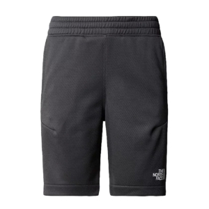 The North Face Mountain Athletics Short Grijs