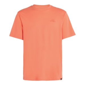 O’neill T-shirt Small Logo Roze