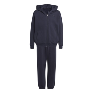 Adidas Allseason Gfx Trainingset Kids Blauw