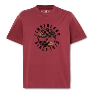 Timberland Holiday Front Graphic Ss Tee Onbekend