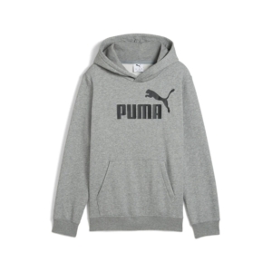 Puma Essentials Big Logo Hoodie Kids Grijs