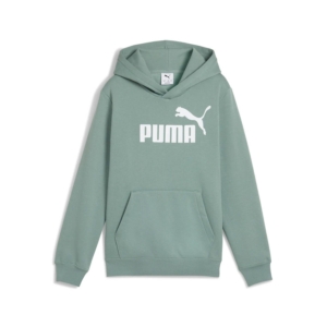 Puma Essentials Big Logo Hoodie Kids Groen