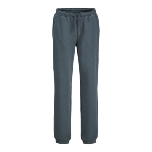 Jack & Jones Kids Gordon Star Sweat Pants Jr Grijs