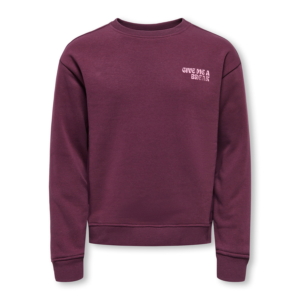 Only Kids Camine Sweater Kids Paars