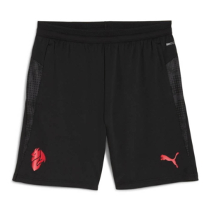 Puma Ac Milan Training Shorts Zwart