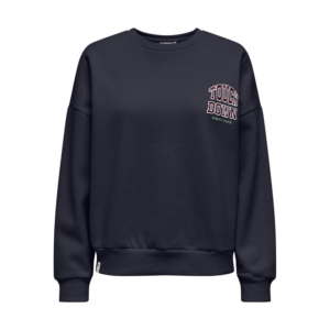 Only Rillo Boxy Sweater Blauw