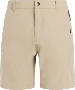 Protest PRTRadcot UV shirt Heren Surf T-shirt Normale pasvorm Knielengte Beige