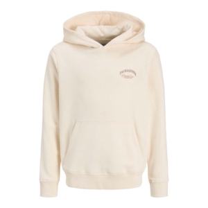 Jack & Jones Kids Brandes Hoodie Jongens Wit